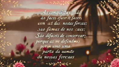 As verdadeiras conquistas, as únicas de que nunca nos arrependemos, são aquelas que fazemos contra a ignorância.