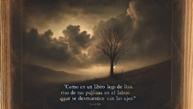 ¡Llora! No te avergüences de confesar que me quisiste un poco. ¡Llora! Nadie nos mira. Ya ves; yo soy un hombre... y también lloro.