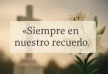 «Un padre/madre ejemplar, un amigo/a inolvidable.»