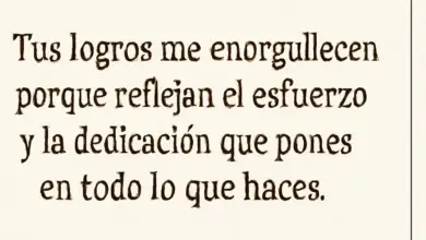 La vida no es un cuento de hadas, pero está llena de pequeños milagros y logros en el camino.