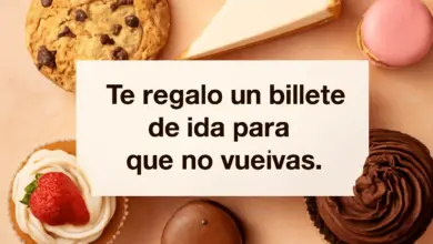 Por favor, no interrumpas mientras te ignoro.